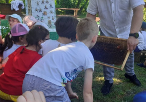 Dzieci poznają życie pszczół