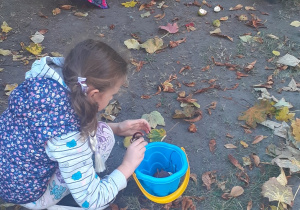 Dzieci układają rzeźby i wzory z darów jesieni