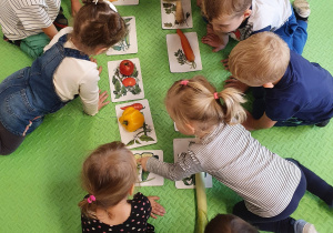 Dzieci dopasowują do obrazków prawdziwe warzywa