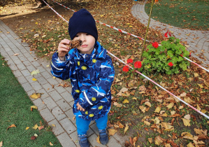 Chłopiec pokazuje znalezioną szyszkę