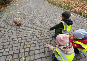 Dzieci karmią wiewiórki orzeszkami
