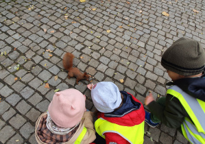Dzieci karmią wiewiórki orzeszkami