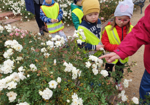 Dzieci podziwiają krzewy róż przy Pomniku Fryderyka Chopina