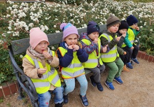 Przerwa na poczęstunek muffinkowy na ławce w parku.