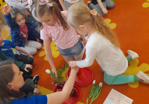 Doświadczenie - barwienie tulipanów. Dzieci pomagają w doświadczeniu