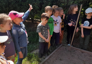 Dzieci sieją nasionka i sadzą cebulki