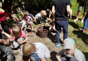 Dzieci pielą ogródek z chwastów