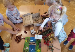 Dzieci układają materiał przyrodniczy.