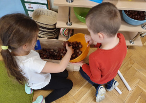 Dzieci przesypują kasztany do drewnianej skrzyni.