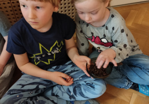 Dzieci próbują czekolady.