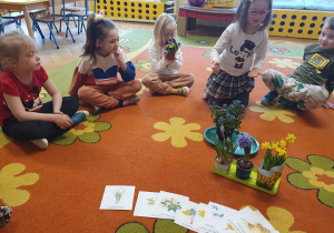 Dzieci na zdjęciu zapoznają się z roślinami, kwiatami zwiastującymi pierwsze oznaki wiosny