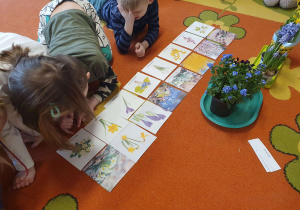 Dzieci zapoznają się z nazwami kwiatów zwiastujących wiosnę, dopasowują napisy do ilustracji