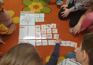 Dzieci układają elementy układanki "Kolejne życie drzewa"