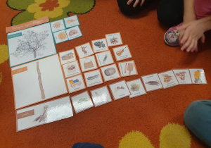 Dzieci układają elementy układanki "Kolejne życie drzewa"