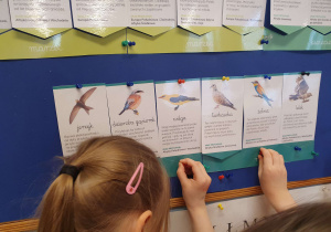 Na zdjęciu dzieci całą grupą układają kalendarz przylotów ptaków