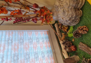 zdjęcie przedstawia kącik przyrodniczy zrobiony z naturalnych materiałów przyrodniczych takich jak szyszki, huba, kora drzew oraz jesiennych ozdób