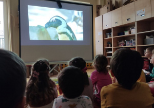 Prezentacja multimedialna.