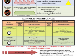Sygnały alarmowe