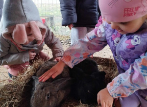 Centrum Rehabilitacji Edukacji i Opieki "Helenów"