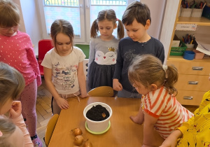 Dzieci stoją i poznają jak sadzić cebulę