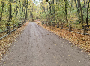 Centrum Edukacji Przyrodniczo-Leśnej