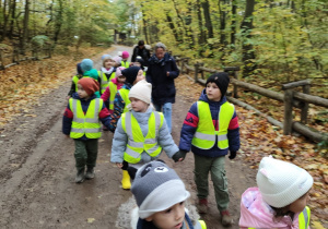 Dzieci spacerują po lesie.