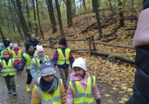 Dzieci spacerują po lesie.