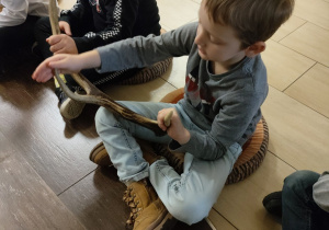 Oglądanie poroża jelenia, łosia, sarny.