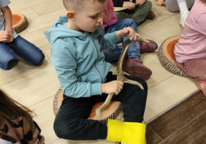 Oglądanie poroża jelenia, łosia, sarny.