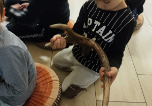 Oglądanie poroża jelenia, łosia, sarny.