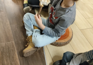 Oglądanie poroża jelenia, łosia, sarny.