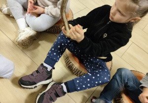 Oglądanie poroża jelenia, łosia, sarny.