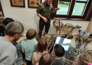 Słuchanie ciekawostek o wilkach.