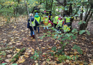 Szukanie śladów wiewiórki.