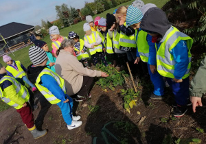 Dzieci oglądają rośliny rosnące na polu