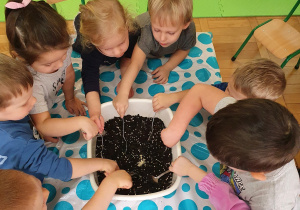 Dzieci przygotowują ziemię do kwiatów.