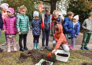 Dzieci sadzą rośliny w ogrodzie przedszkolnym.